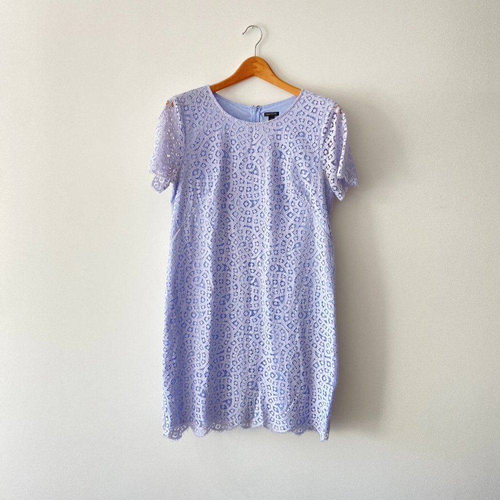 Ann Taylor Womens Periwinkle Short Sleeve Lace Overlay Shift Dress
